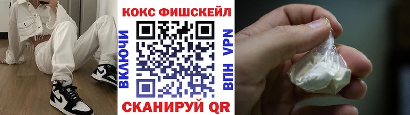 COCAIN Fish Scale  blacksprut   Курганинск 