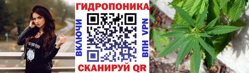 Конопля Amnesia продажа наркотиков Курганинск
